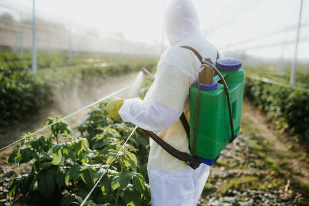 Best Emergency Pest Control  in Berlin, NJ
